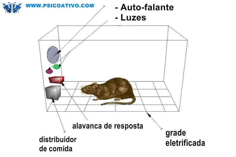 Figura: Caixa de Skinner.