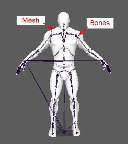 Figura: Skeleton over a Mesh.